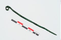 Foto von Bronzerollenkopfnadel (NHMW-PRAE-025074)